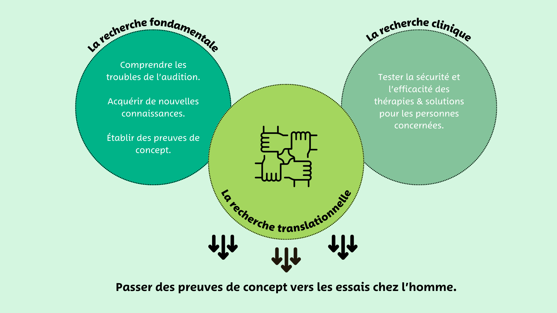 Comprendre les champs de la recherche - fondamentale, clinique, translationnelle - synergie 