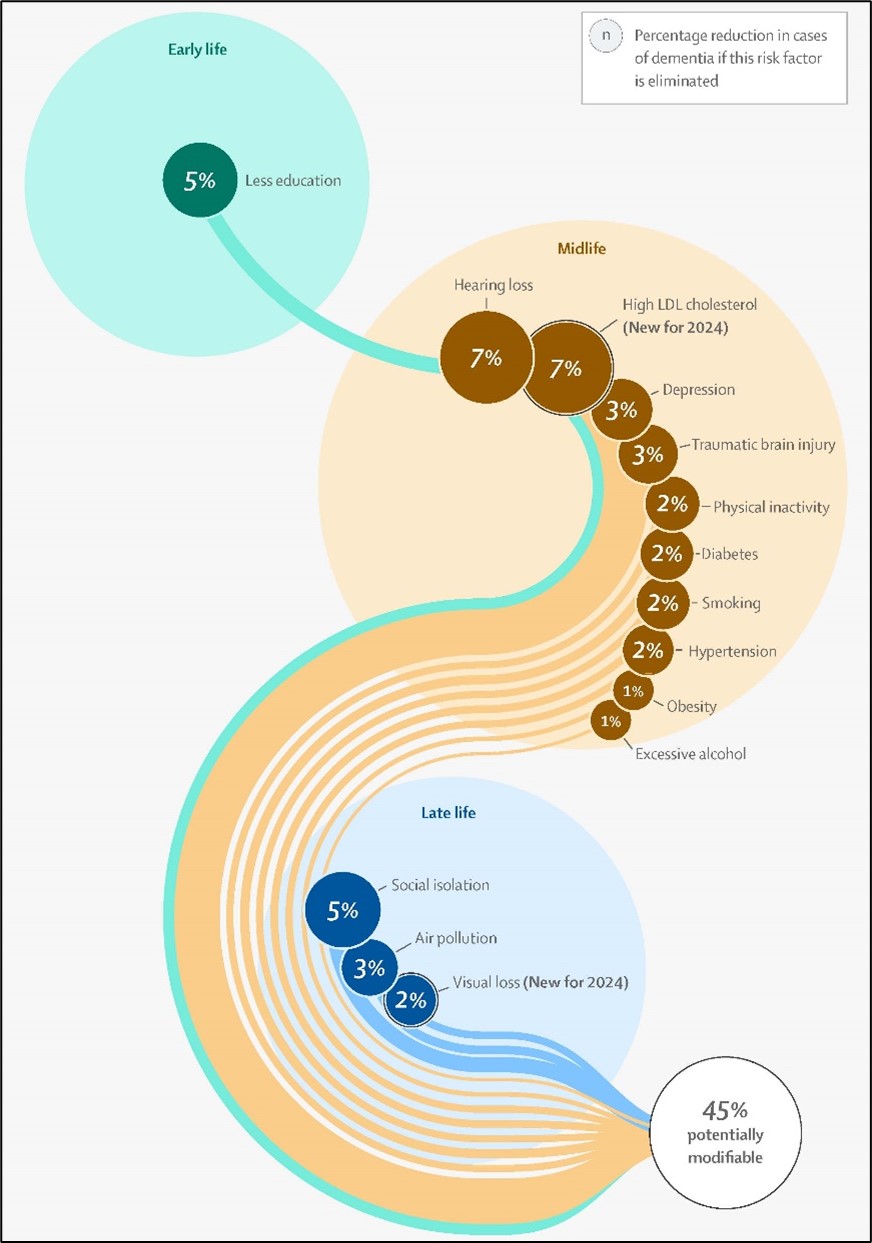 Figure 1. Liste des facteurs de risque évitables contribuant au développement de la démence