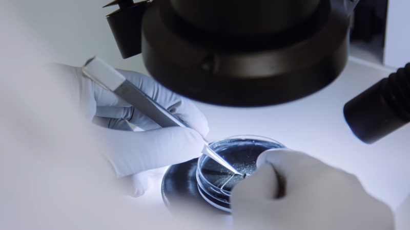 call for proposals for clinical research