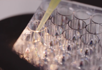 Lauréats recherche 2025