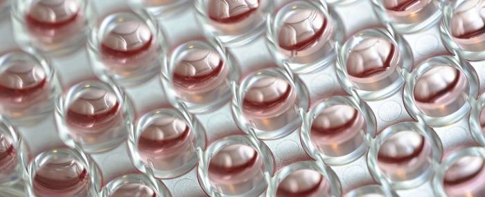 Laboratoire Laboratoire