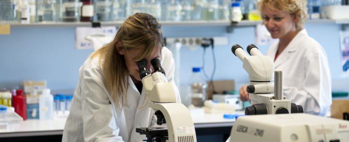 laboratoire audition