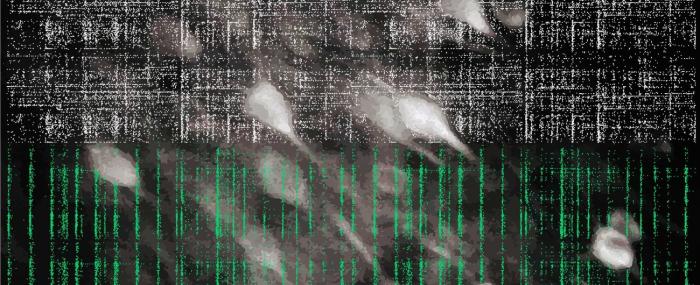 Accusé de réception - formulaires scientifiques