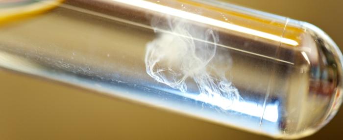 Bourses de voyage WCA 2024 - à vos candidatures