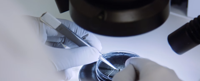 2026 clinical research grants