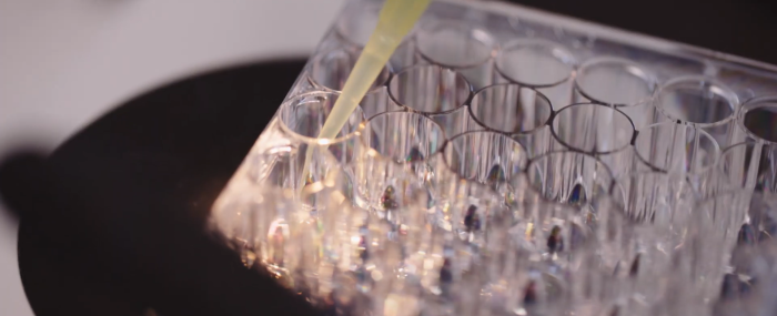 Lauréats recherche 2025